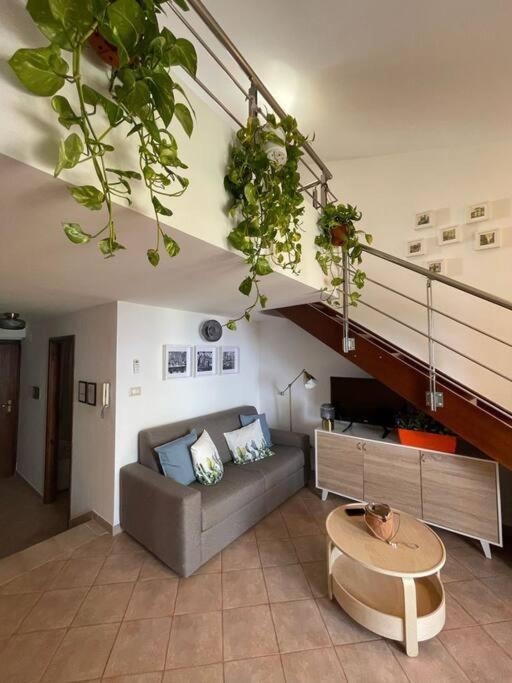 Appartement Magabu' - Swimming Pool And Free Parking à Cefalù Extérieur photo